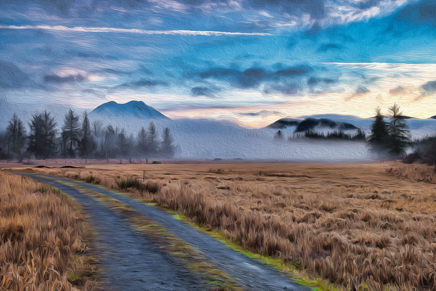 Gravel driveway in Elbe, Washington, bordered by wheat fields, with Mount Rainier rising in the background.