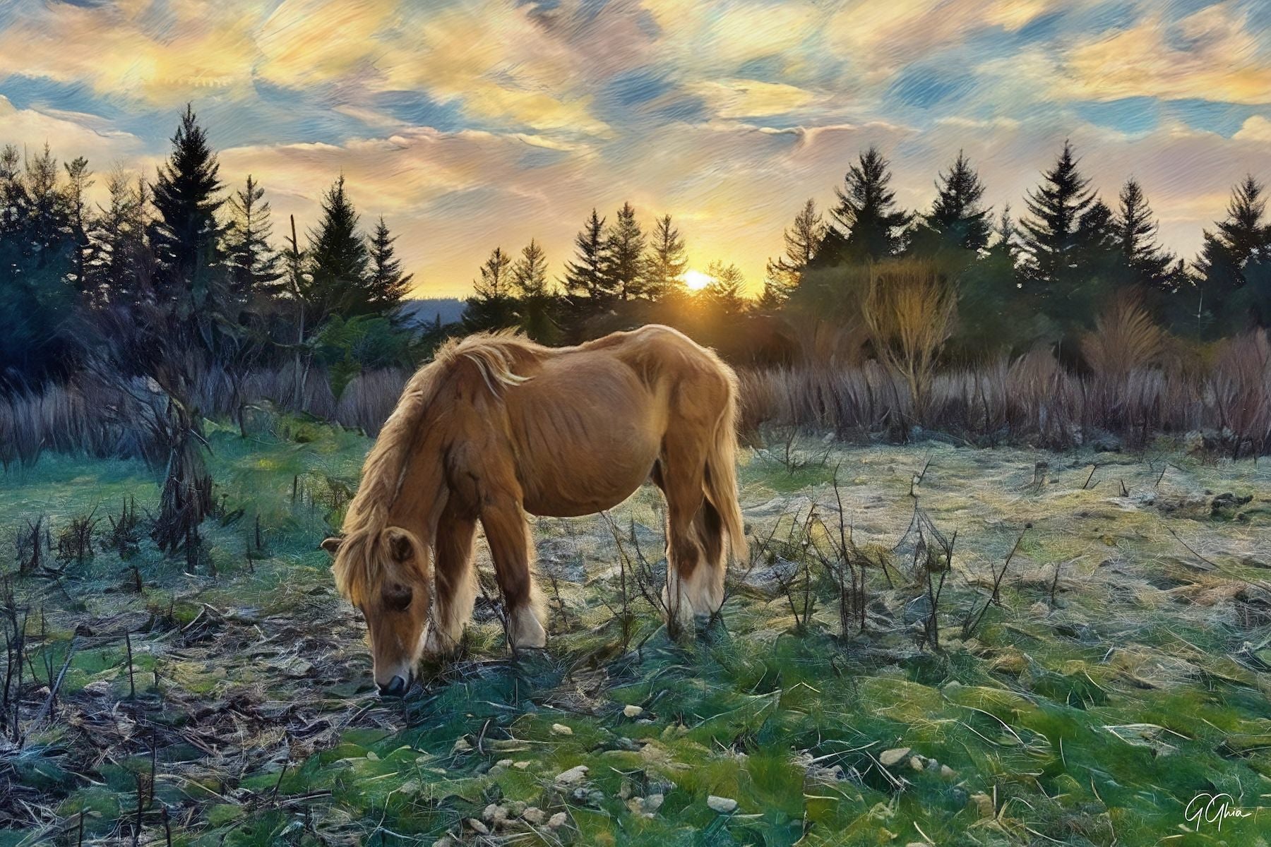 Wild ponies grazing in open meadows of Grayson Highlands National Park, Virginia, with rolling mountains and hiking trails in the background.