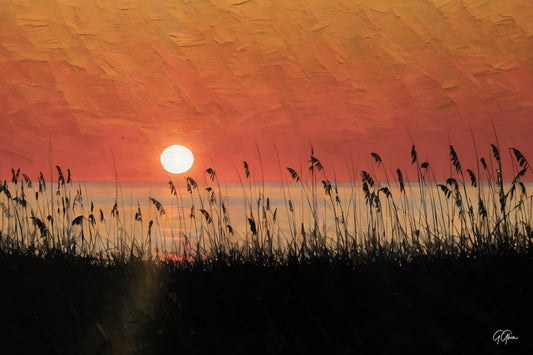 Dark sand dunes and shadowy reeds at Pleasure Island, North Carolina, framed by a vibrant orange sunrise sky.