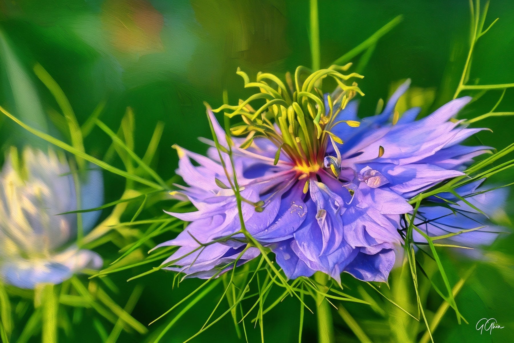 Close-up of a vibrant purple flower fully open, with green shoots radiating from the center against a clear background.