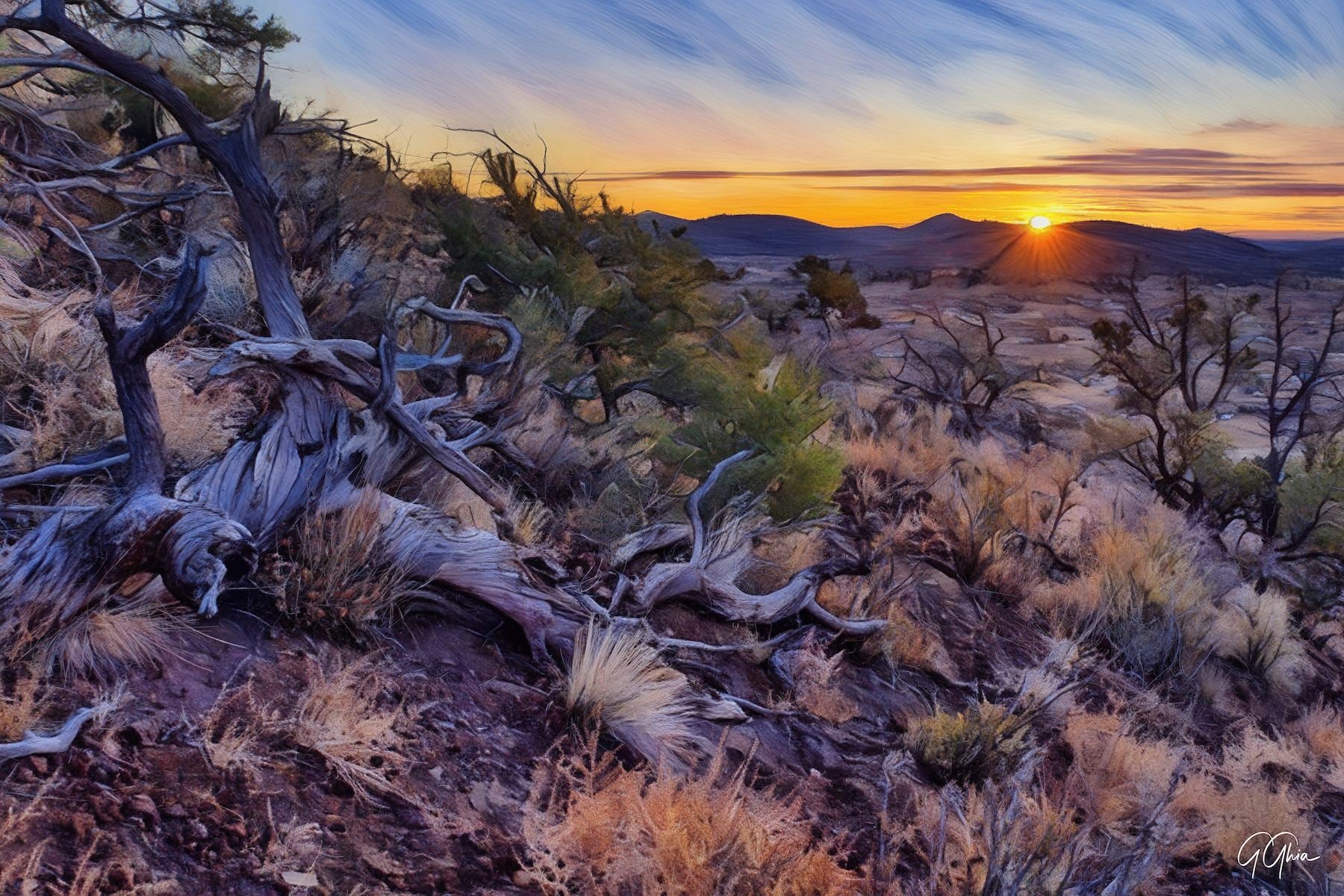 Sunrise above Flagstaff, Arizona, featuring Western pine forests, desert meadows, and mountain outlines in golden morning light.
