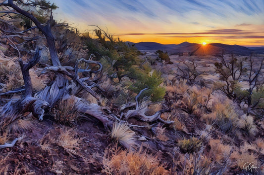 Sunrise above Flagstaff, Arizona, featuring Western pine forests, desert meadows, and mountain outlines in golden morning light.