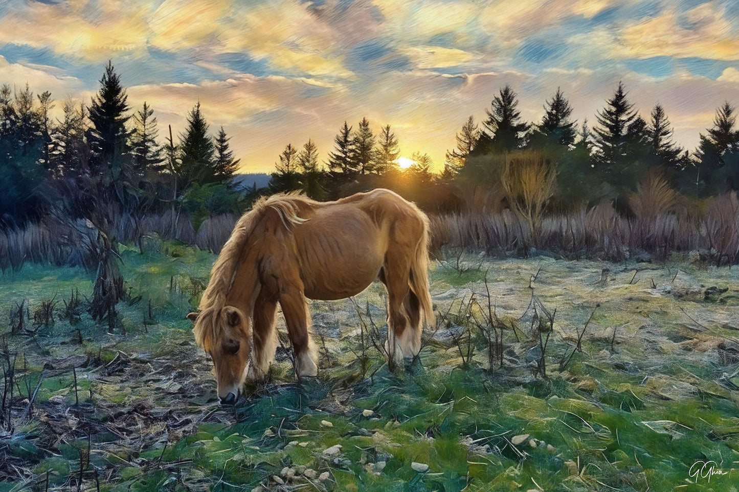 Wild ponies grazing in open meadows of Grayson Highlands National Park, Virginia, with rolling mountains and hiking trails in the background.