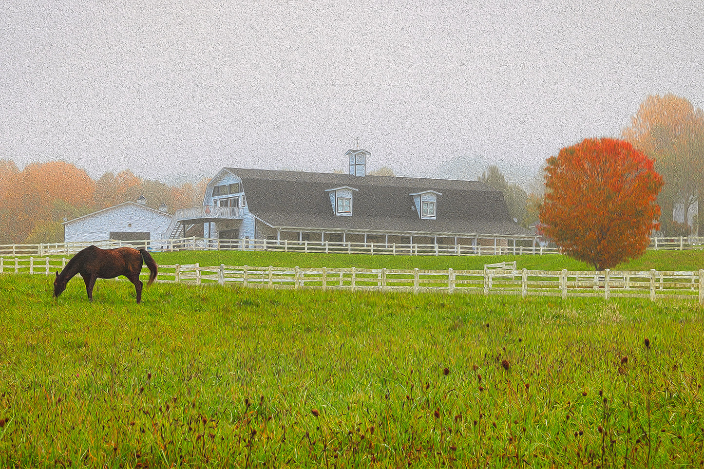Horse in a foggy meadow at Horseshoe Farms bed-and-breakfast, Hendersonville, North Carolina.