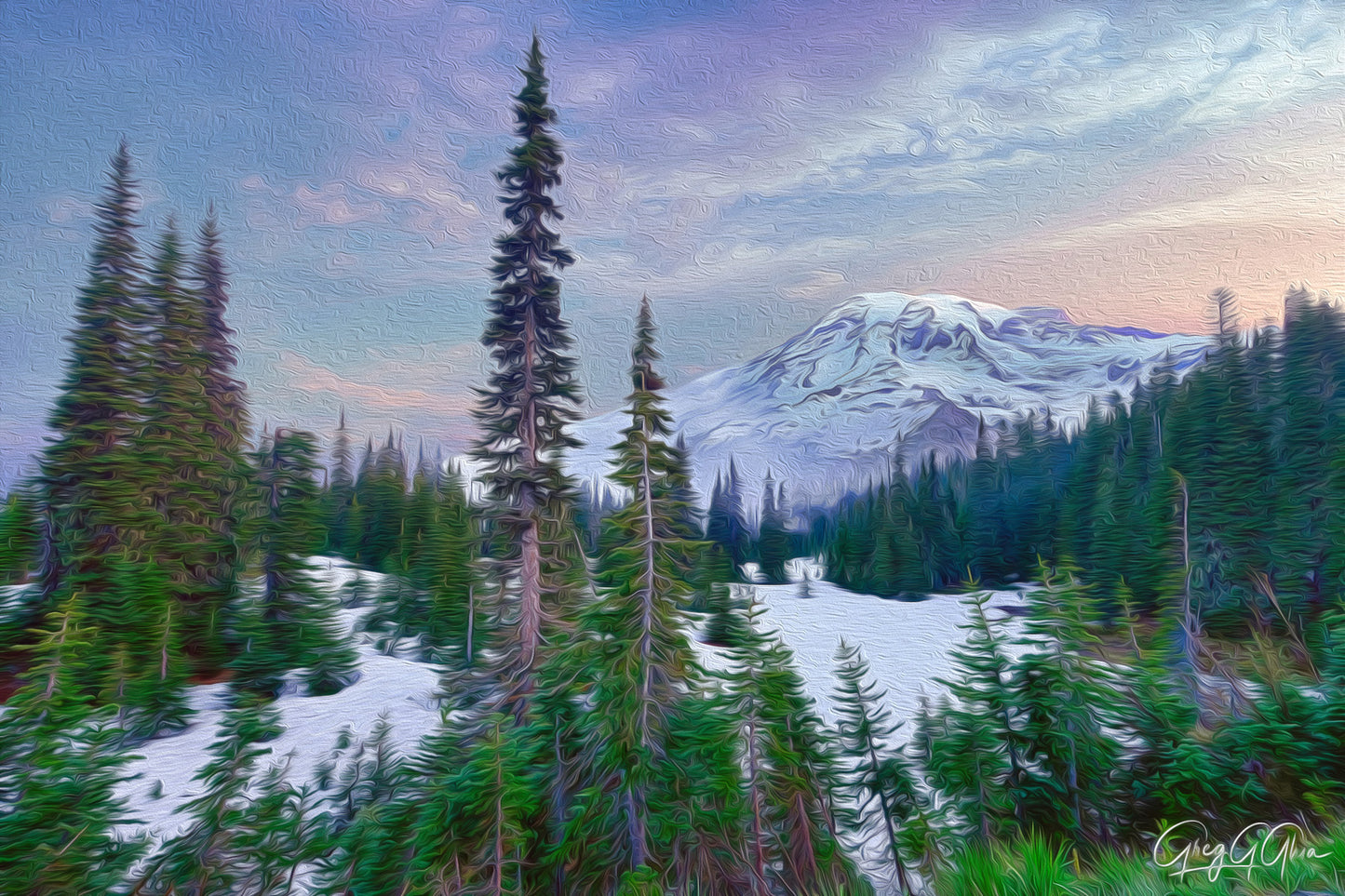 Evergreen trees at twilight in Mount Rainier National Park, with pink and blue hues in the sky and the mountain visible in the distance.